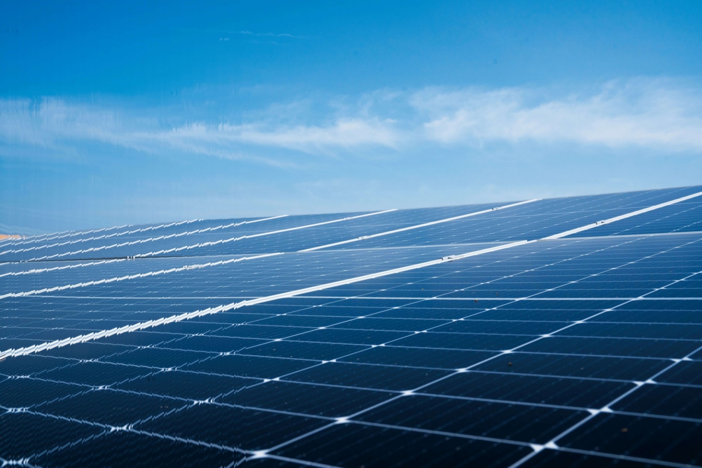 Reducing Carbon, Driving Change: FourNet’s Progress in 2025